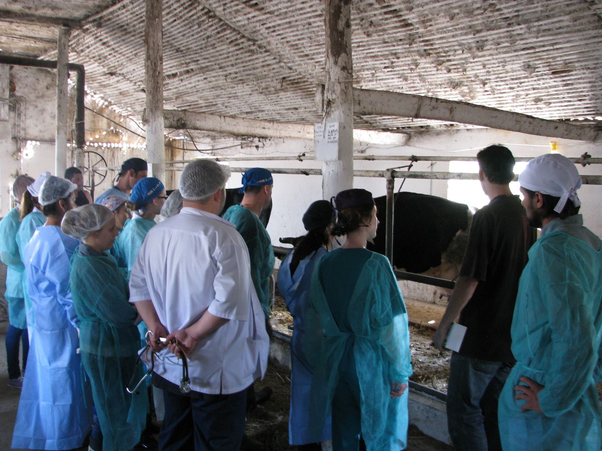 Ferma Calinesti Veterinari076