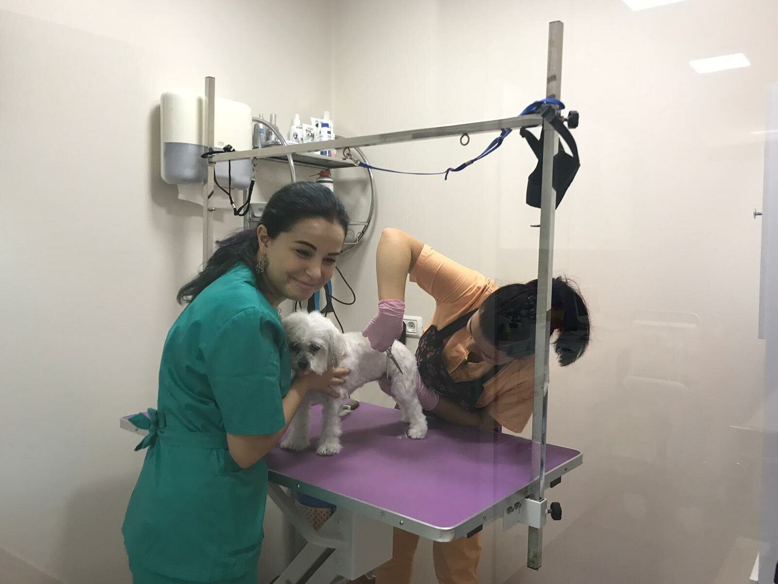 Scoala Tehnicieni Veterinari 27